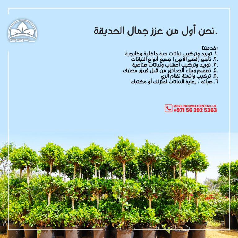 نحن أول من عزز جمال الحديقة خدماتنا: ١٠. توريد وتركيب النباتات الحية الداخلية والخارجية ٢٠. تأجير جميع أنواع النباتات (قصير الأجل) ٣٠. توريد وتركيب الأعشاب والنباتات الصناعية ٤٠. تصميم وبناء الحدائق بواسطة فريق محترف ٥٠. تركيب وأتمتة نظام الري ٦٠. صيانة ورعاية النباتات لمنزلك أو مكتبك